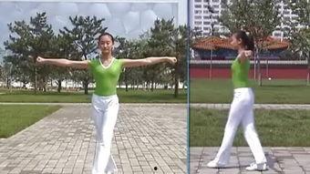 成人体育教学视频,轻松入门，健康生活新篇章