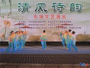 成人舞蹈诗韵舞蹈视频,成人舞蹈诗韵之美