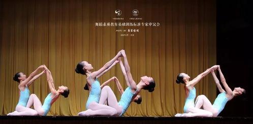 成人舞蹈夹子视频教学,轻松入门舞蹈世界