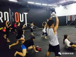 拳击馆成人格斗视频,成人格斗技巧全解析