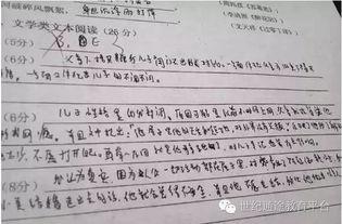 成人阅卷老师视频,视频中的评分奥秘解析
