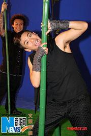 球拍舞蹈成人视频大全,成人舞蹈视频大全赏析