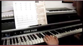儿童成人钢琴视频大全集,视频大全集精彩回顾