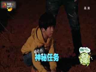 任你干成人小视频