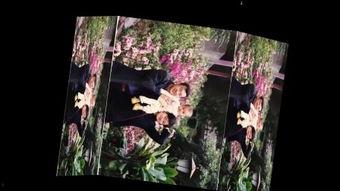 蜩蝶视频成人,探索成人生涯的精彩瞬间