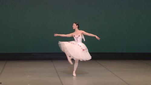 成人独舞芭蕾视频大全集