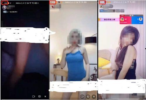 成人综合社区视频在线,线上互动新体验